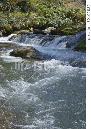 八重滝（島根県） 30102889