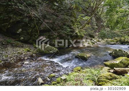 八重滝(島根県) 八重滝(島根県) 30102909