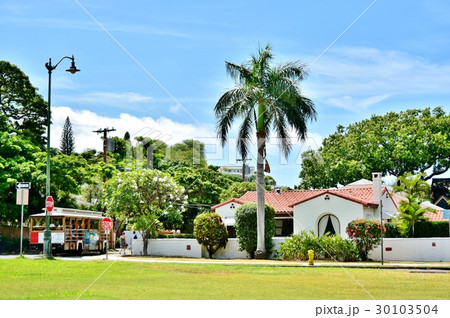 ハワイの休日 30103504