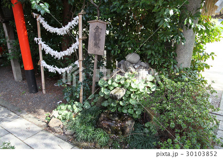 水火天満宮 金龍水 水火天満宮 金龍水 30103852