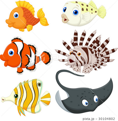 Tropical fish cartoon Tropical fish cartoon 30104802