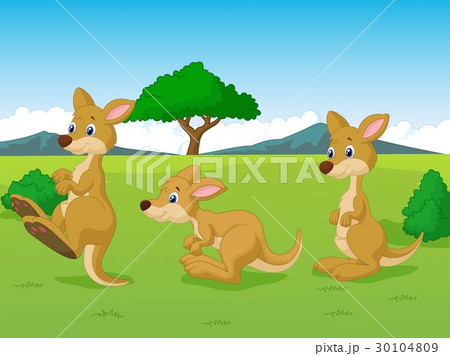 Cute kangaroo cartoon playing in the grassland 30104809