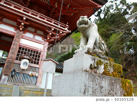 鞍馬寺 阿吽の寅 鞍馬寺 阿吽の寅 30105529