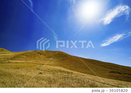 飯田高原　泉水山 30105820