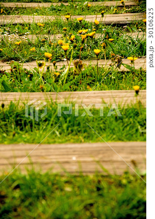 rails out of order with flowers rails out of order with flowers 30106225