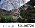 庭園 30106720
