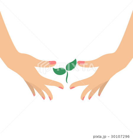 Hands holding green plant 30107296