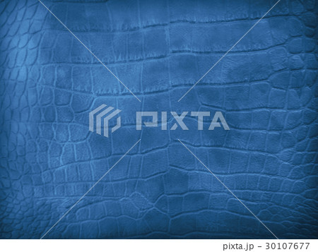アンティーククロコ1（ブルー） 30107677