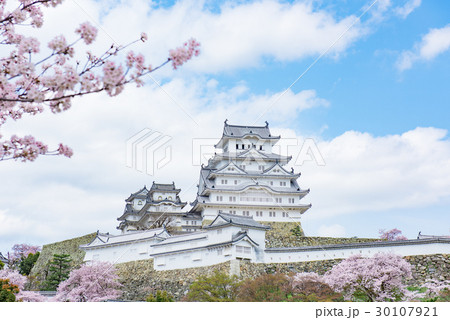 姫路城　桜　青空 30107921
