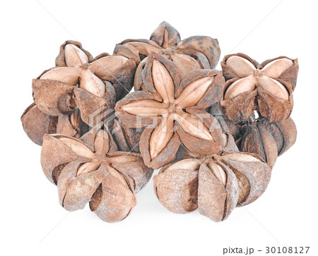 sacha inchi peanut seed on white background 30108127