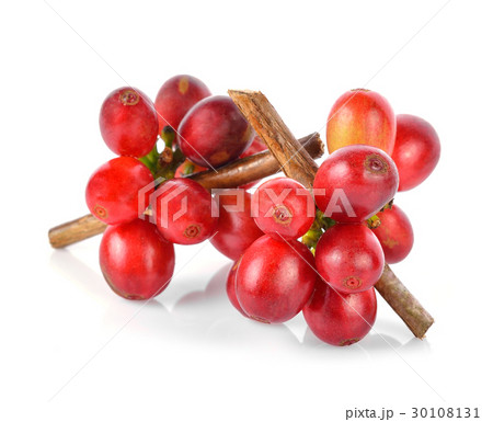ripe coffee beans isolated on white background 30108131