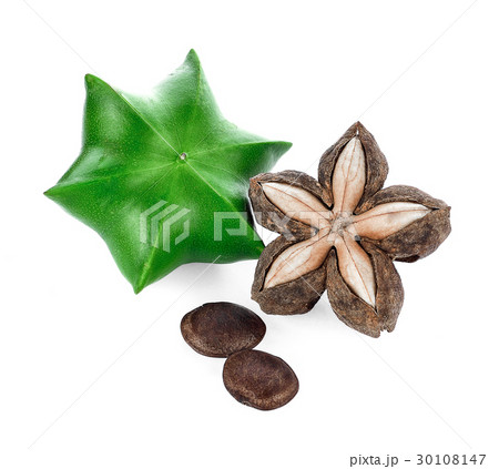 sacha inchi on white background 30108147