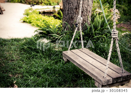 Old wooden vintage swing hanging from a large tree Old wooden vintage swing hanging from a large tree 30108345