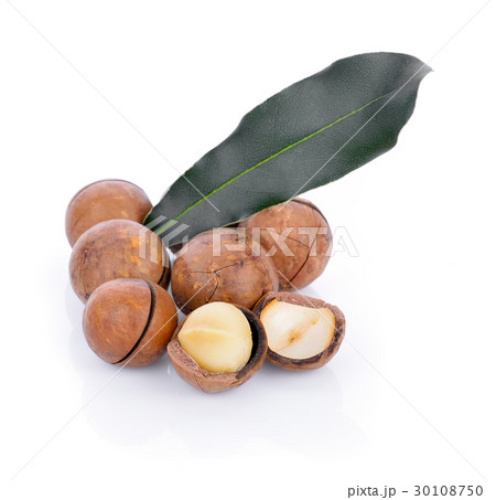 macadamia nut on a white background 30108750