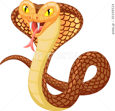 Angry cobra cartoon 30109524