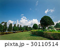 Blue sky, trees and grass 30110514