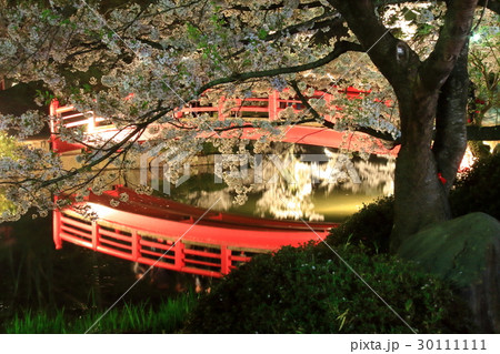臥竜公園　桜まつり 30111111
