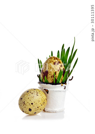 egg in a bucket egg in a bucket 30111395