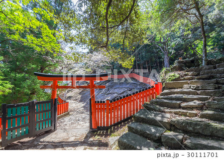 春の神倉神社 30111701