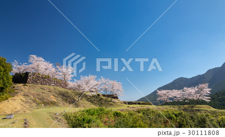 春の赤木城跡 春の赤木城跡 30111808