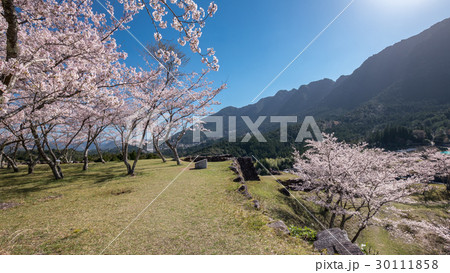 春の赤木城跡 30111858