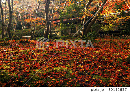 11月紅葉 京都嵯峨野の祇王寺の写真素材