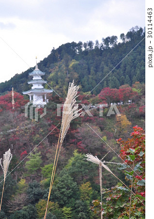 白雲山鳥居観音 30114463