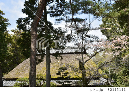 【三重県 伊賀上野】古民家と桜 【三重県 伊賀上野】古民家と桜 30115111