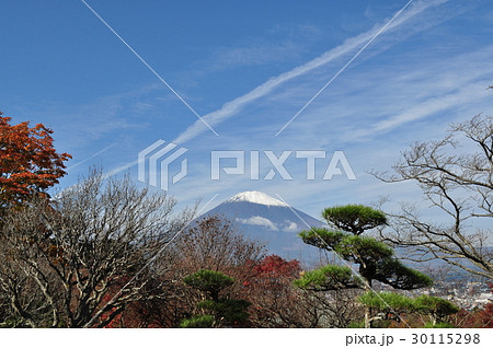 平和公園(御殿場) 平和公園(御殿場) 30115298