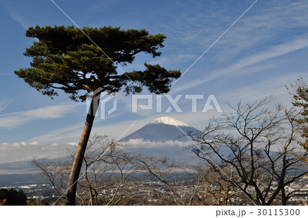 平和公園(御殿場) 平和公園(御殿場) 30115300