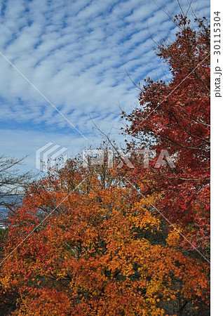 平和公園(御殿場) 平和公園(御殿場) 30115304