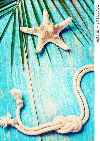starfish, palm tree branch (toning) 30115701