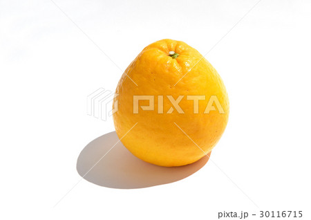 宇和ゴールド 宇和ゴールド 30116715