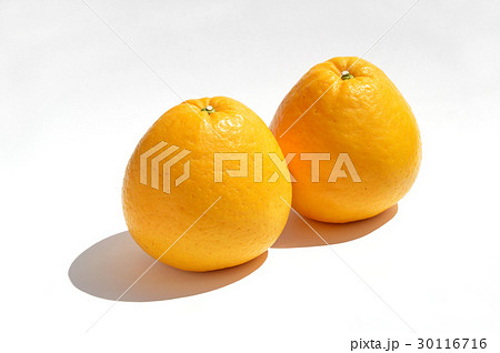 宇和ゴールド 30116716