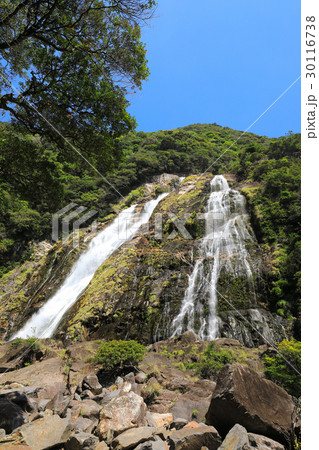 屋久島 大川の滝(おおこのたき)晴れ 屋久島 大川の滝(おおこのたき)晴れ 30116738
