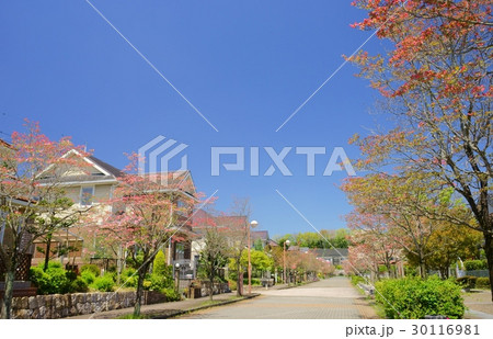 ハナミズキの町3 ハナミズキの町3 30116981