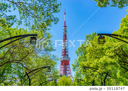 【東京都】新緑の東京都市風景 【東京都】新緑の東京都市風景 30118747