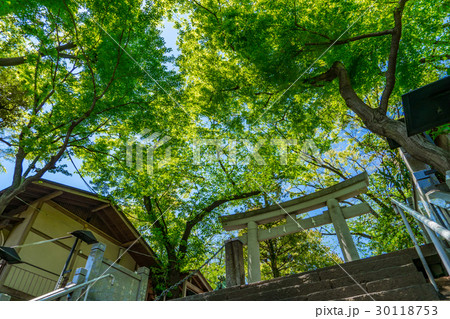 【東京都】愛宕神社 【東京都】愛宕神社 30118753