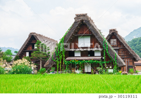 Historical Japanese Village - Shirakawago Historical Japanese Village - Shirakawago 30119311