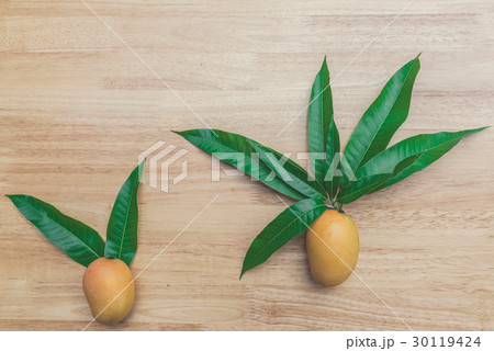 Mango on a wood background Mango on a wood background 30119424