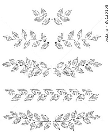 set of branches dividers 30120108