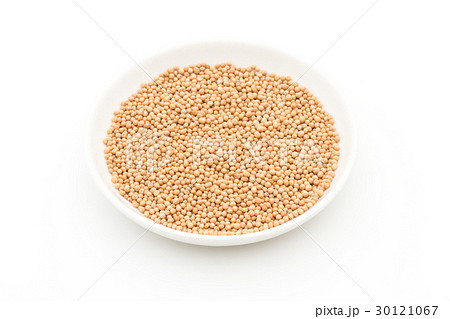 マスタードシード：Mustard seed 30121067