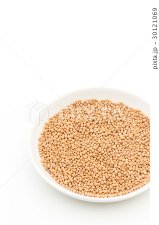 マスタードシード:Mustard seed マスタードシード:Mustard seed 30121069