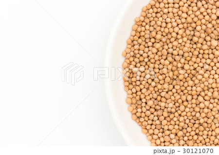 マスタードシード：Mustard seed 30121070