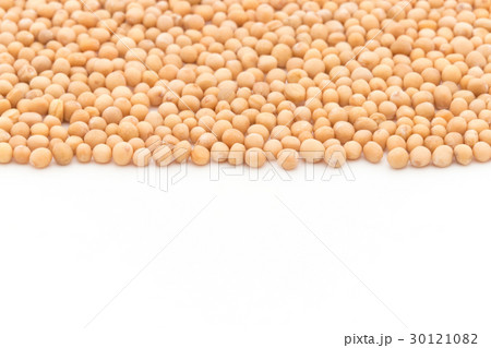 マスタードシード：Mustard seed 30121082
