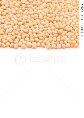 マスタードシード：Mustard seed 30121083