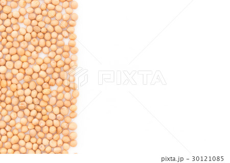 マスタードシード:Mustard seed マスタードシード:Mustard seed 30121085