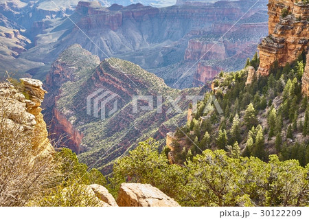 morning light sunrise at Grand Canyon, Arizona USA 30122209