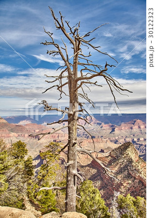 morning light sunrise at Grand Canyon, Arizona USA 30122323