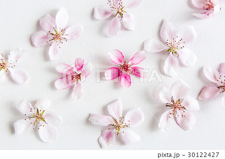white backgroung filled with round pattern of white backgroung filled with round pattern of 30122427